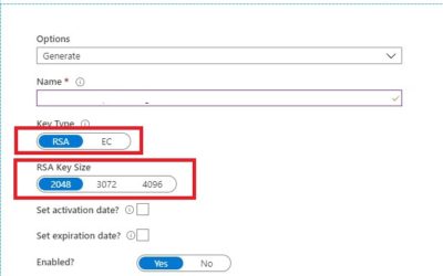 Azure Data Factory: How to assign a Customer Managed Key