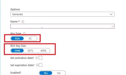 Azure Data Factory: How to assign a Customer Managed Key