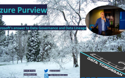 Datatoboggan 2021(Video)